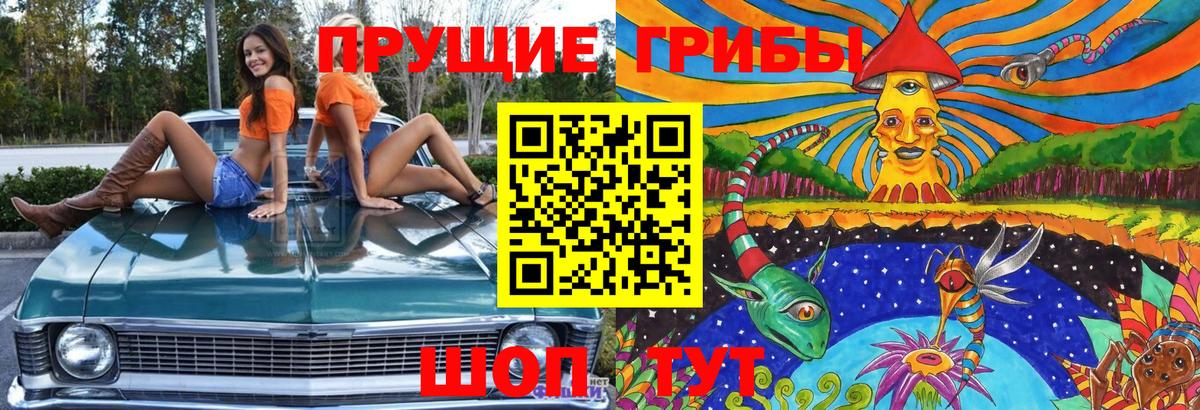 Галлюциногенные грибы Psilocybine cubensis Бийск