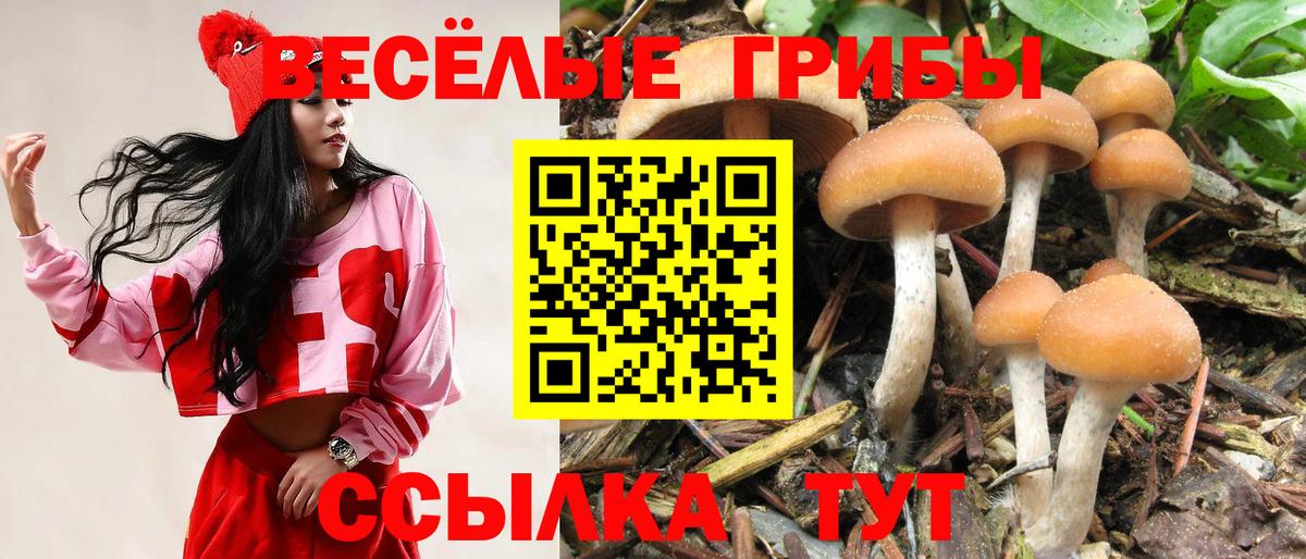 Бийск  Псилоцибиновые грибы прущие грибы  Вход с VPN 